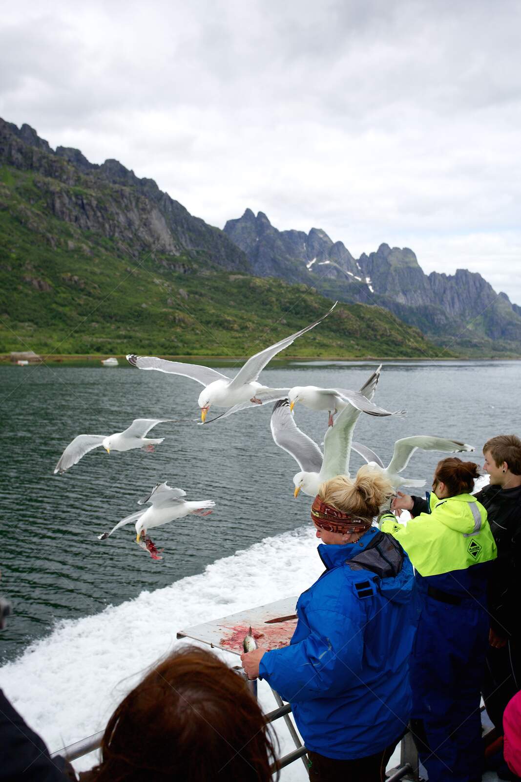 People feeding seagulls on boat near rocky coastline