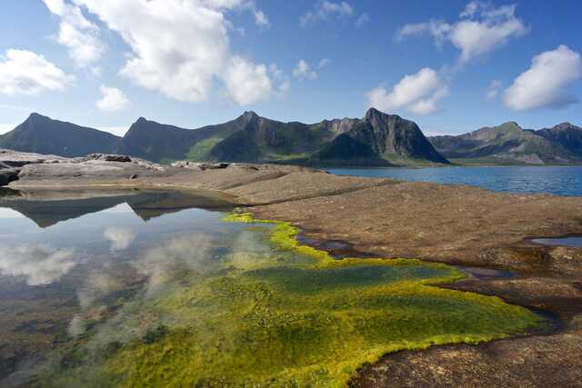 Senja. Rocky Coastline with Mountain Reflections and Algae