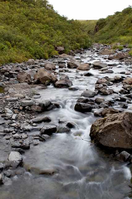 Stream Flowing from Svartifoss