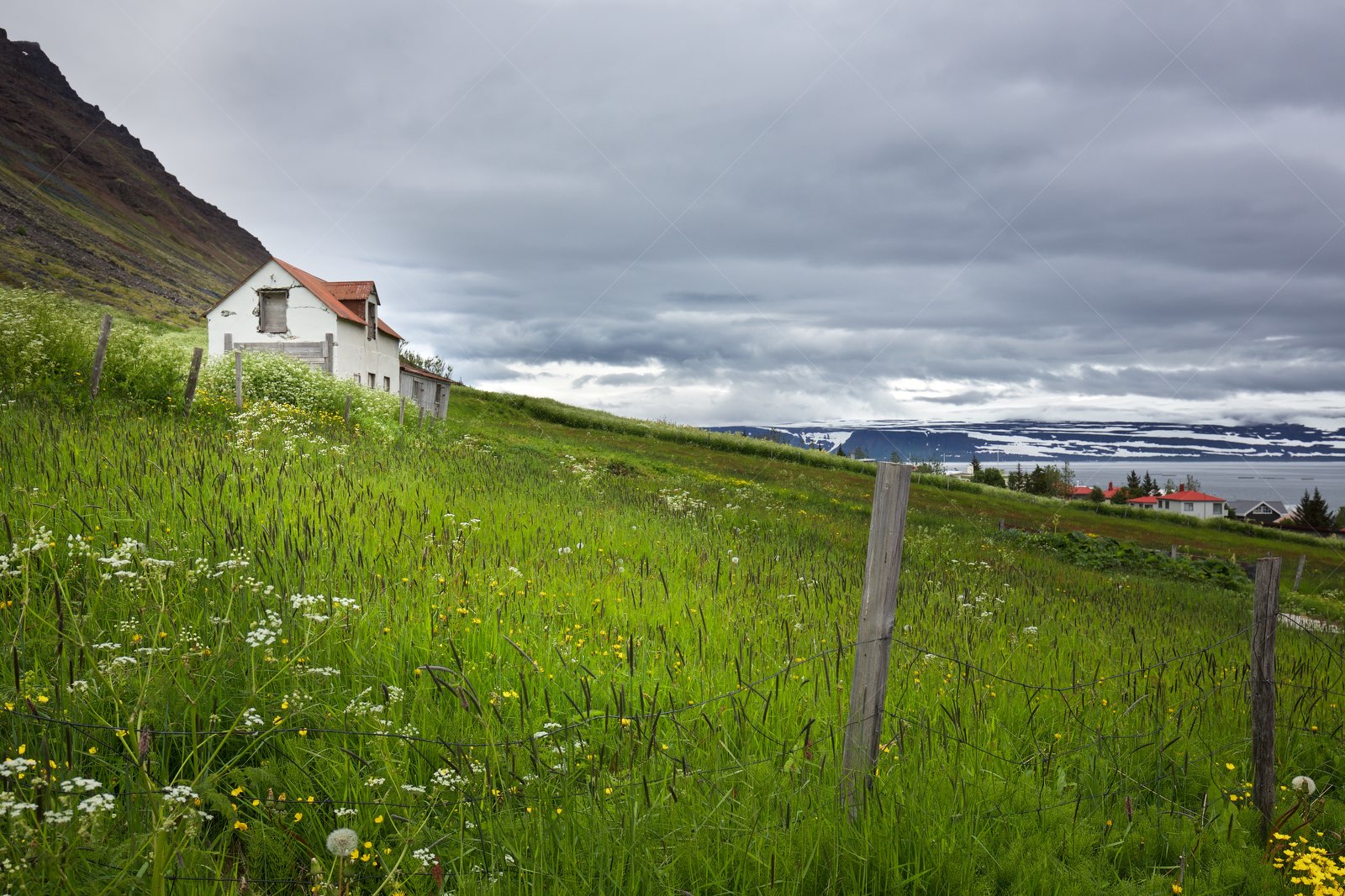 Old farmhouse on green hillside in Ísafjörður Iceland