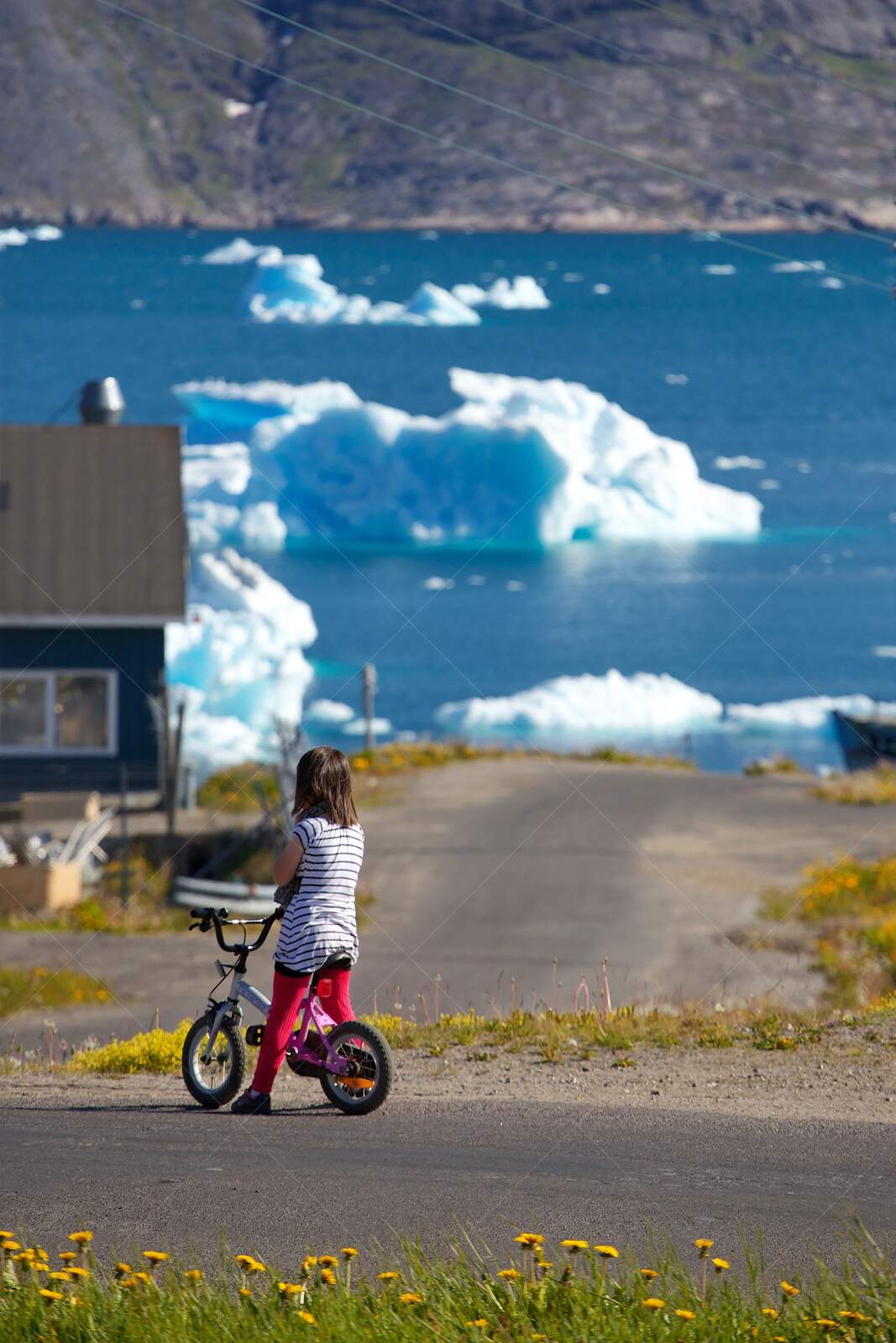 Child with Bicycle Near Icebergs in Arctic Coastal Village