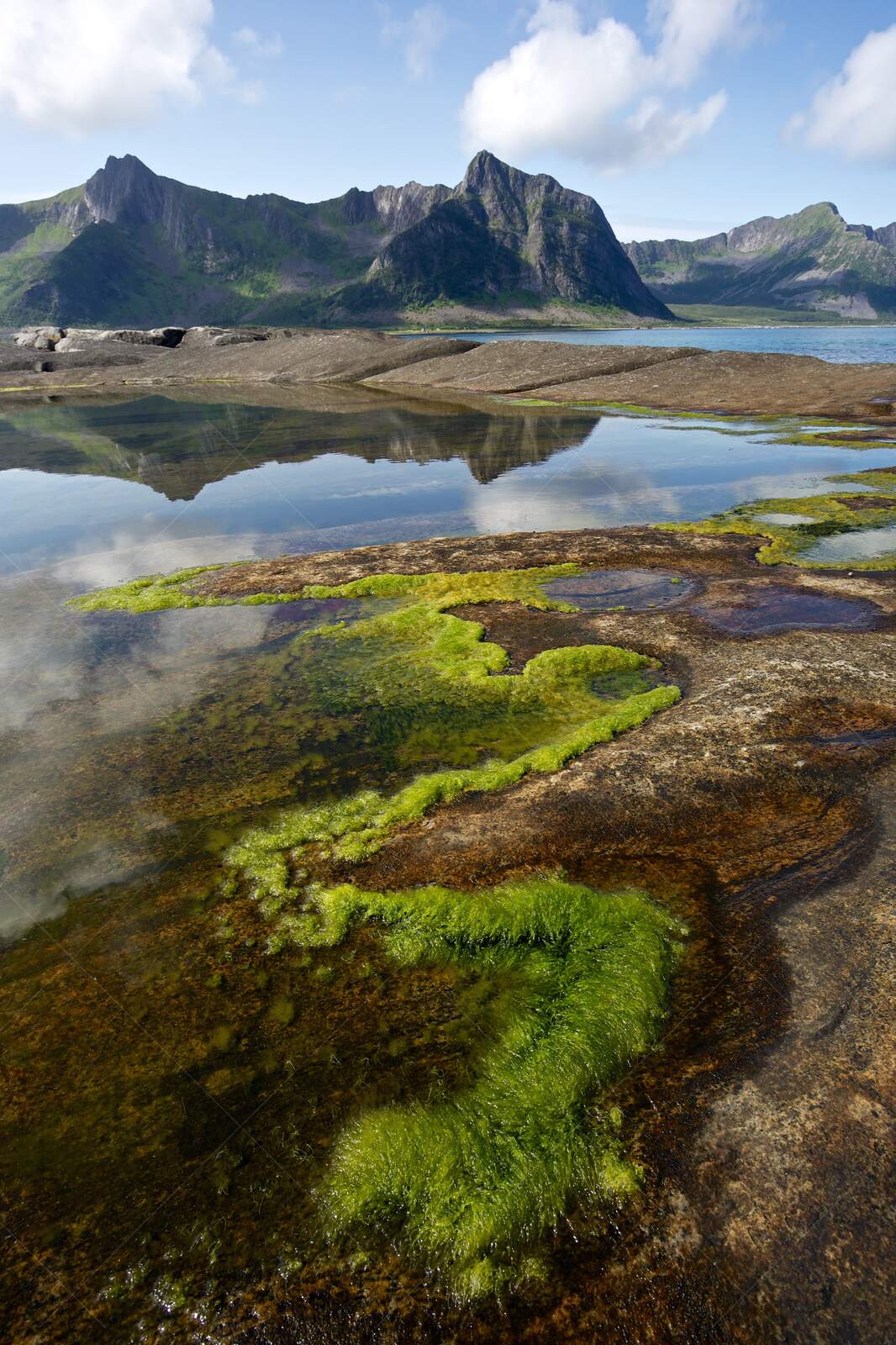 Senja, rocky shoreline with green moss, Norway