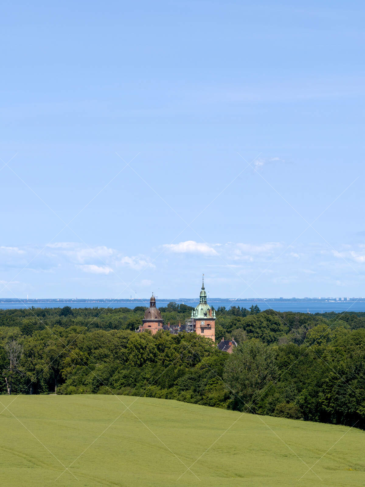 Vallø Castle towers above forest in Stevns Municipality