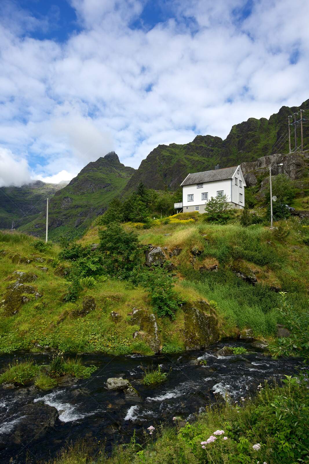 White house on green hillside i Å on Lofoten