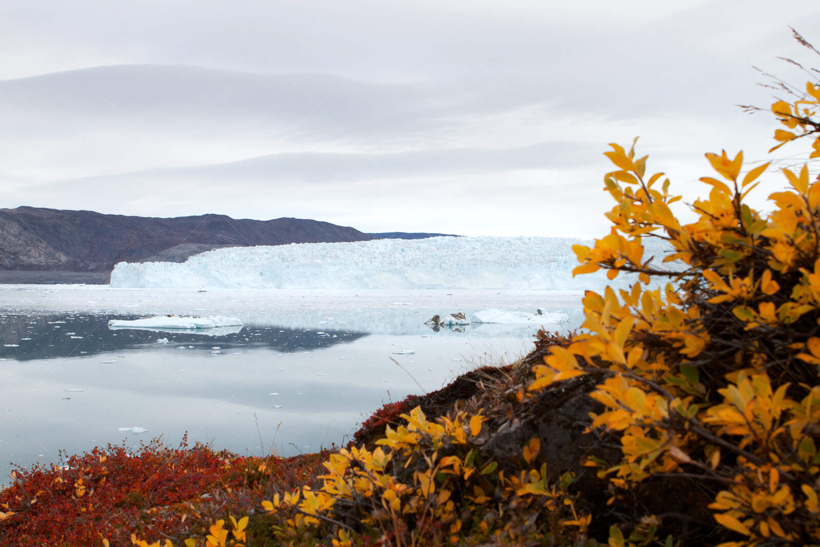 Autumn Colors by the Glacier Lagoon