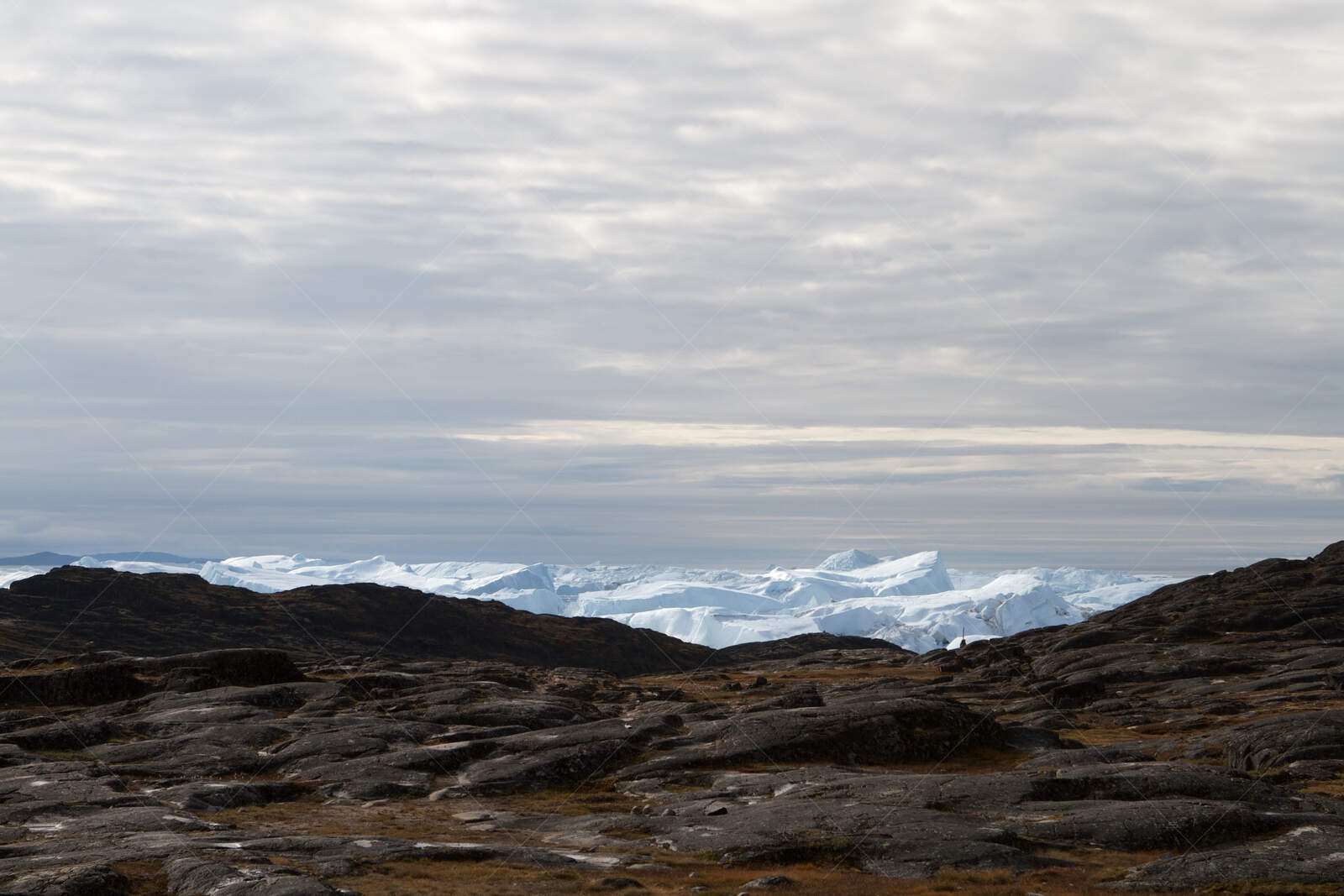 Arctic Icebergs Beyond the Rocky Tundra