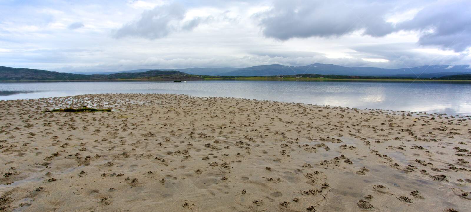 Sandy Beach with Crab Holes by Calm Water in Lakselv Norway