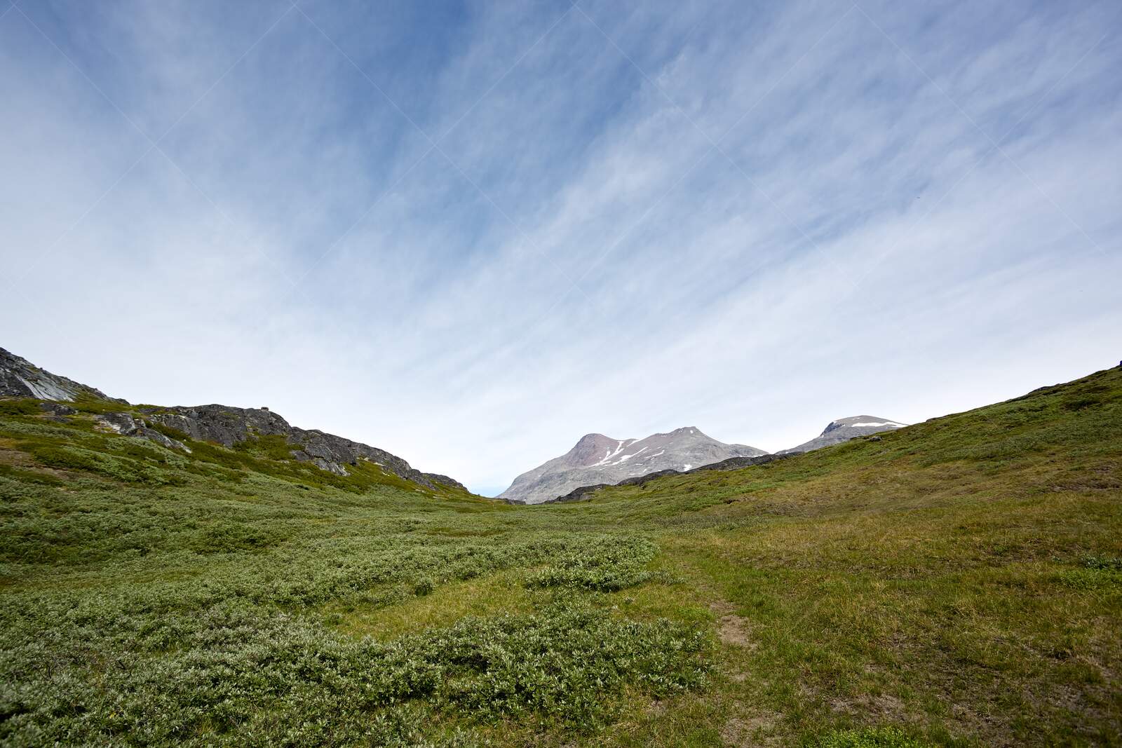 Green alpine meadow with mountain peaks under blue sky