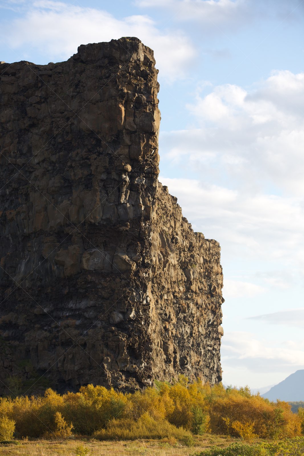 Ásbyrgi Canyon Cliff in Norðurþing Iceland