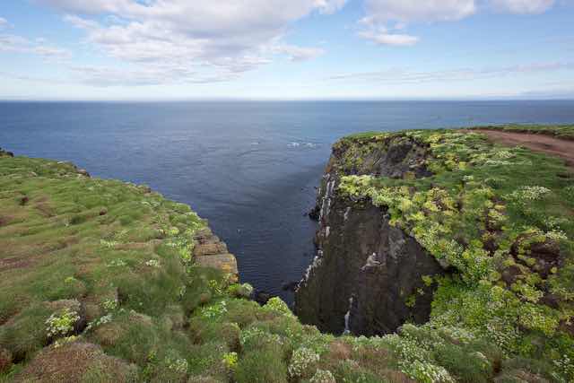 Cliffs of Látrabjarg overlooking the North Atlantic Ocean in Iceland