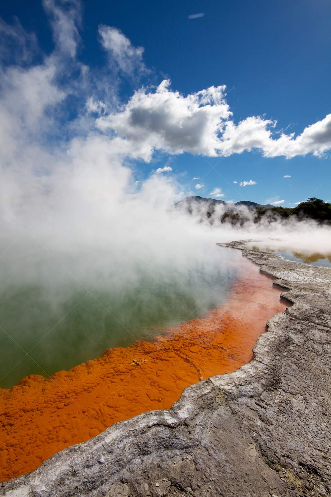 Steaming Thermal Pool with at Wai-O-Tapu, New Zealand