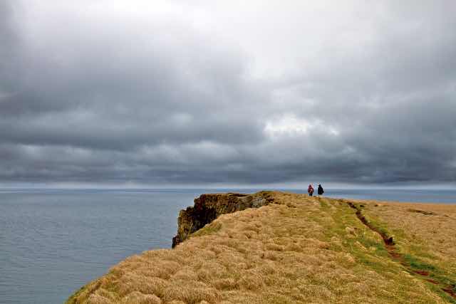 Cliffs at Látrabjarg Vesturbyggð Iceland