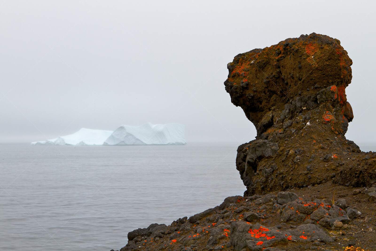 Volcanic Sea Cliff with Iceberg Horizon