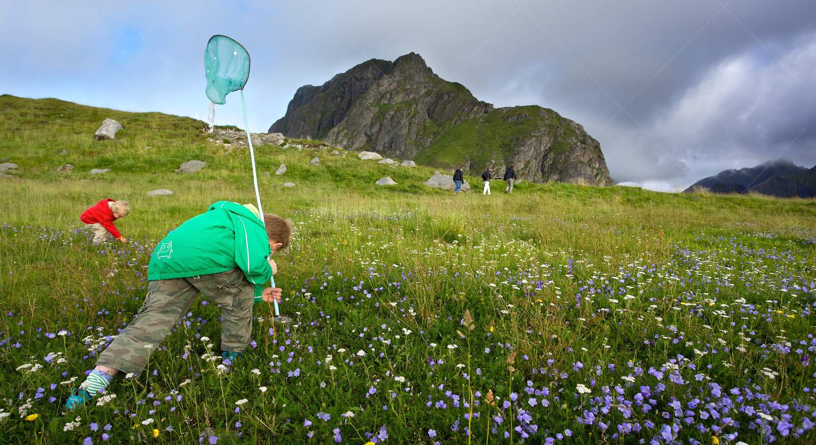 Children exploring wildflowers on a meadow in Lofoten Norway