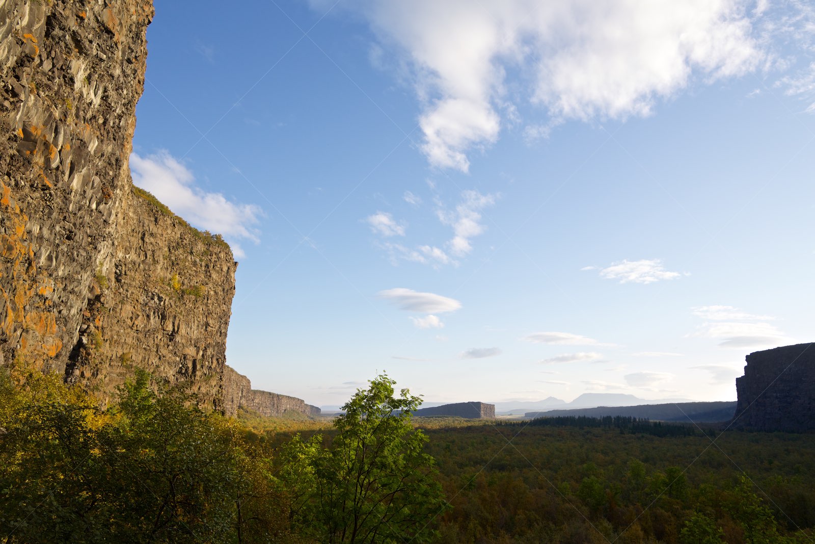 Ásbyrgi Canyon in Norðurþing, Iceland
