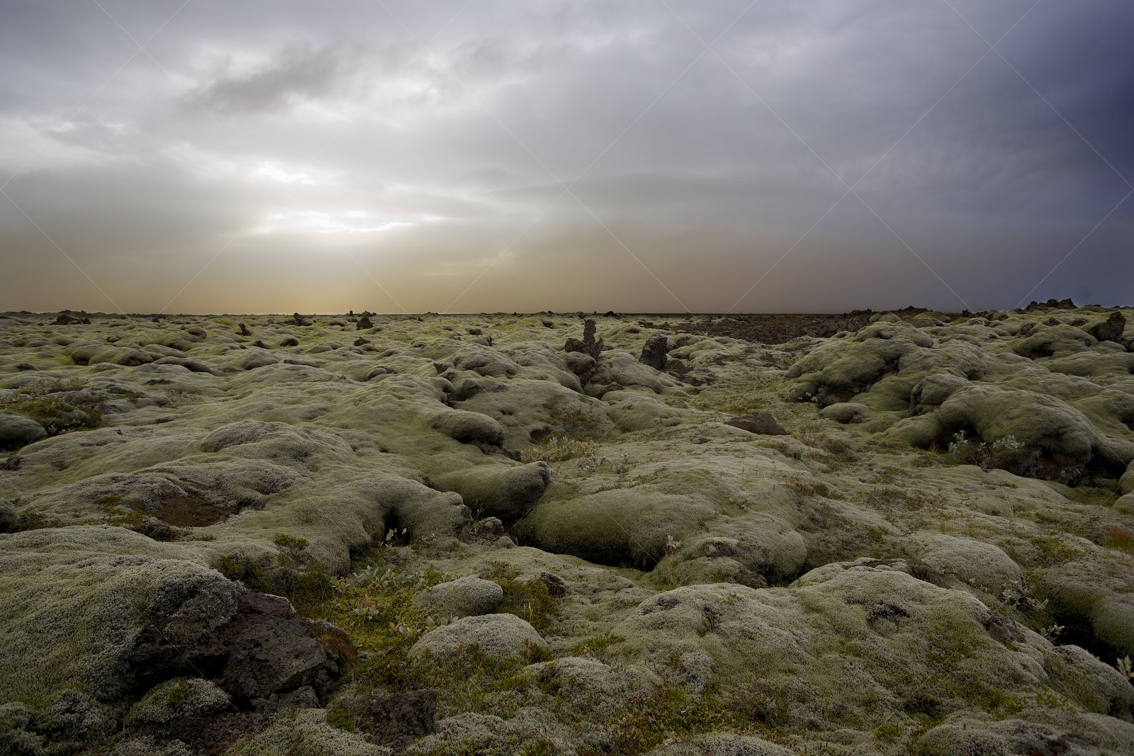 Moss-covered Lava Field in Skaftárhreppur Iceland