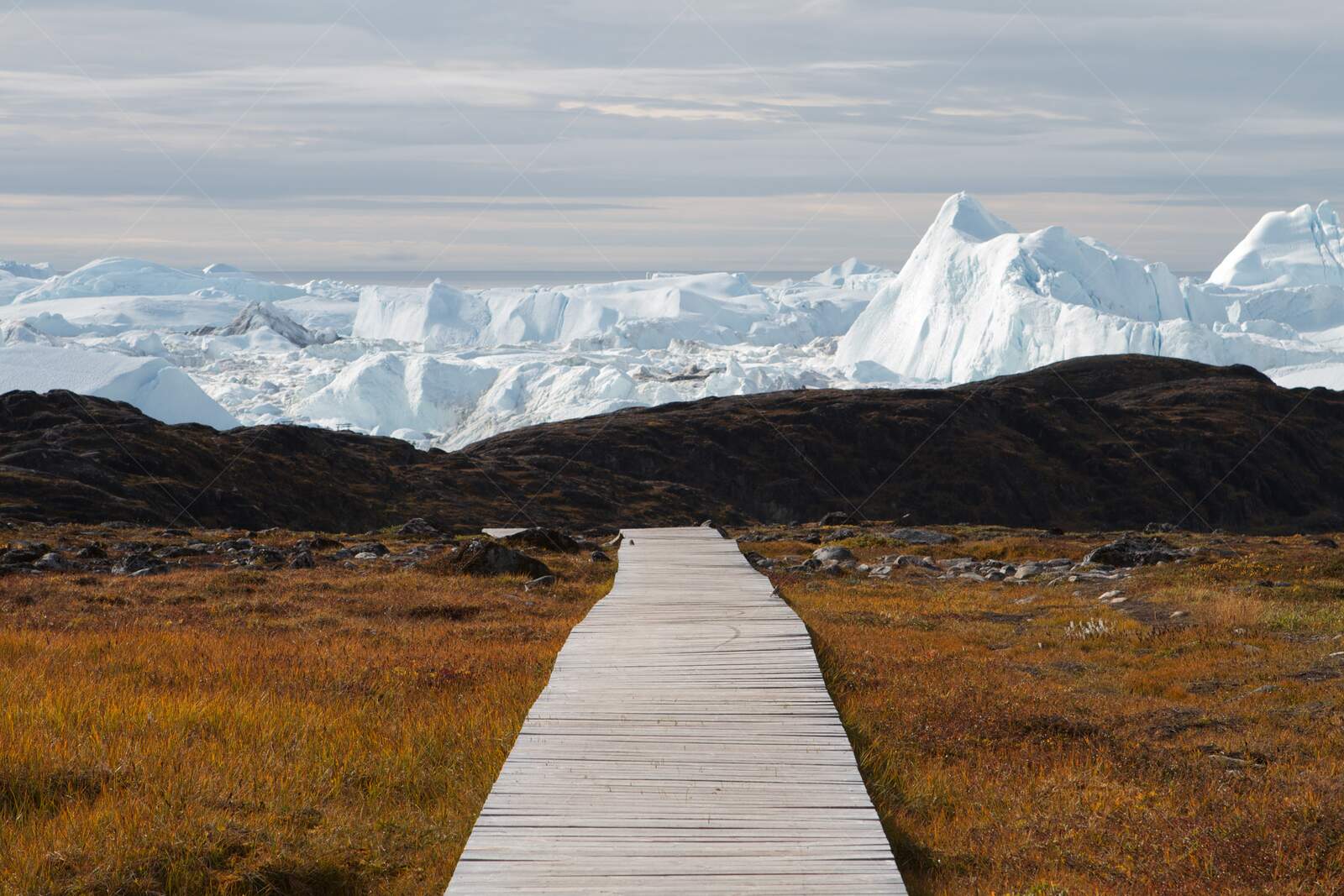 Boardwalk to the icefjord