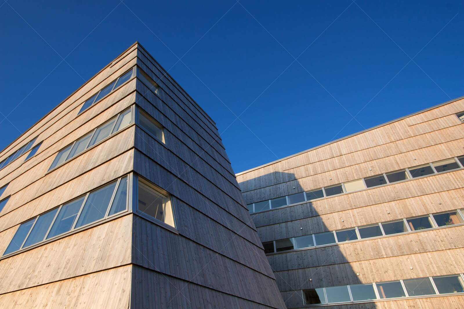 Modern wooden university building in Nuuk Greenland